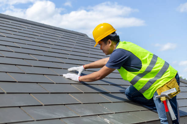 Best Shingle Roofing Installation  in Lamont, MI