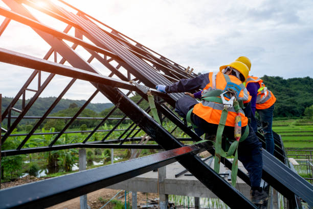 Best Residential Roofing Contractor  in Lamont, MI