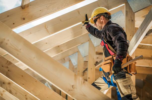 Best Roof Gutter Cleaning  in Lamont, MI