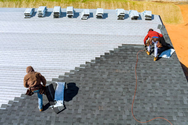 Best Gutter Installation and Roofing  in Lamont, MI