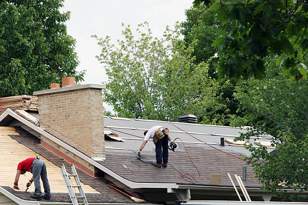 Best Shingle Roofing Installation  in Lamont, MI