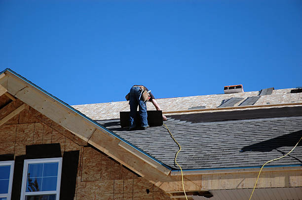 Best Metal Roofing Contractor  in Lamont, MI