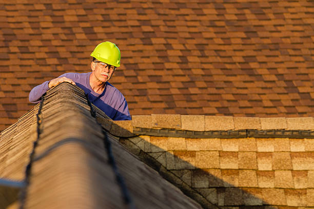Residential Roof Replacement in Lamont, MI
