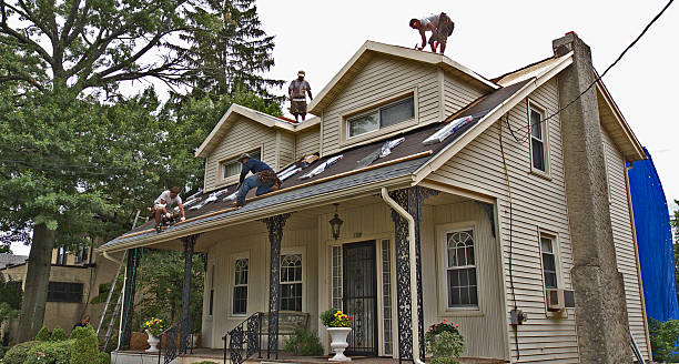 Best Roof Replacement Cost  in Lamont, MI
