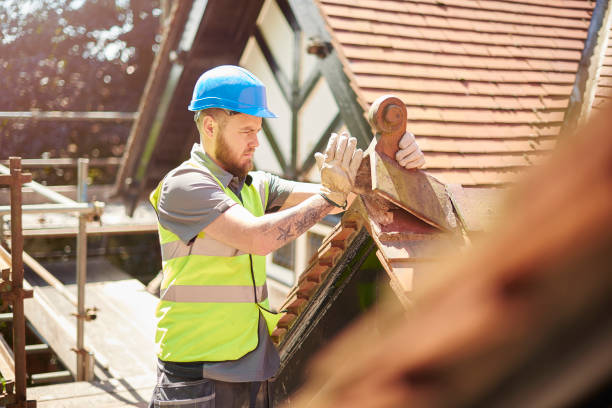Gutter Installation and Roofing in Lamont, MI