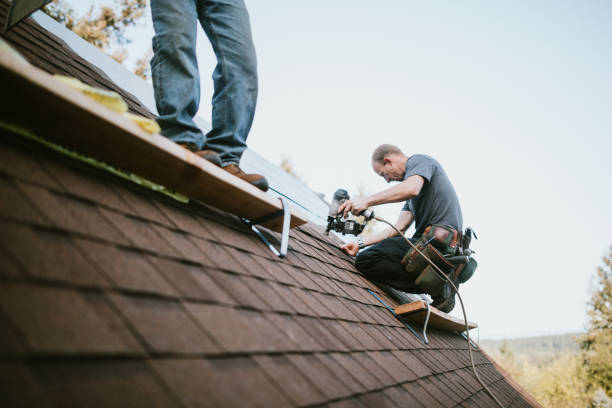 Quick and Trustworthy Emergency Roof Repair Services in Lamont, MI